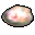 Memorial_Shell_icon.png