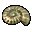 Olimarnite_Shell_icon.png